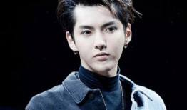 吴亦凡妈妈爆料成龙视频,真相背后引发热议